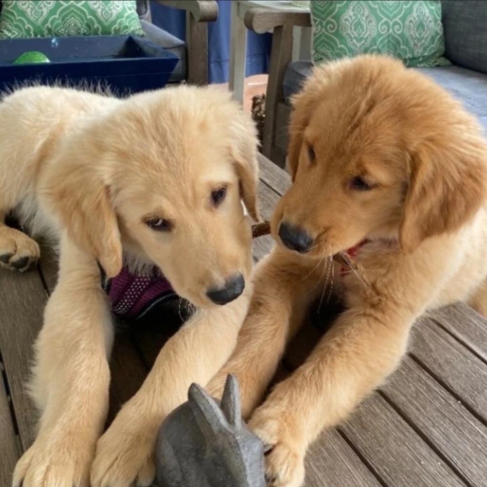 Meet your Posher, Bleh